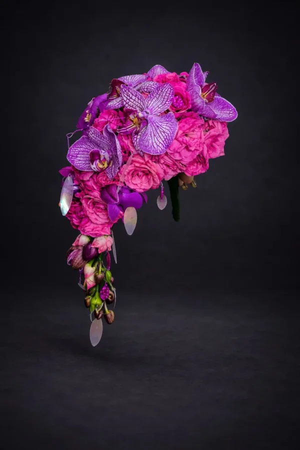 WhatsApp Image 2026 02 24 at 20.24.31f